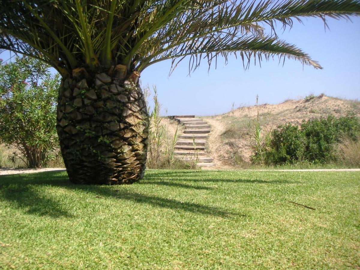 Villa Frente Al Mar Oliva Exterior foto
